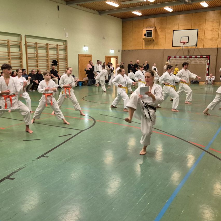 Bild enthält, People, Person, Adult, Male, Man, Female, Woman, Mobile Phone, Phone, Karate