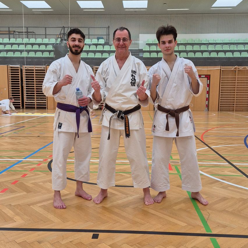 Bild enthält, Floor, Flooring, Karate, Martial Arts, Person, Wood, Adult, Male, Man, Hardwood
