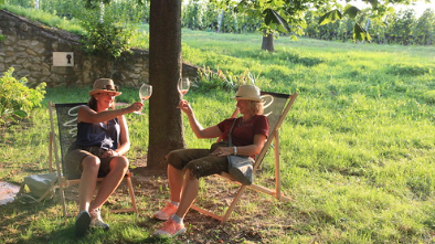 v1_migrated_image_13279327