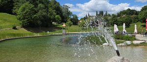 Ein großer Springbrunnen sprüht Wasser in einen Teich, umgeben von Grünflächen und Bäumen. Das Wasser ist klar mit einem sandigen Ufer.