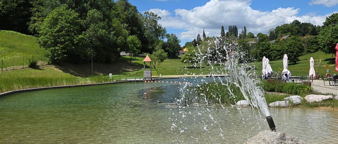Ein großer Springbrunnen sprüht Wasser in einen Teich, umgeben von Grünflächen und Bäumen. Das Wasser ist klar mit einem sandigen Ufer.