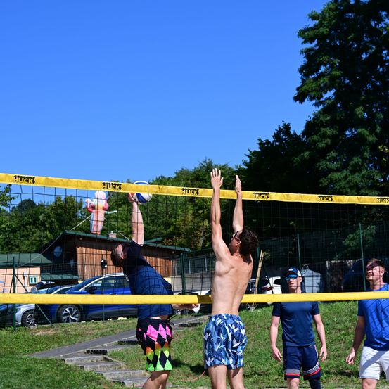 Vier Männer spielen Volleyball an einem sonnigen Tag. Zwei Männer versuchen, den Ball über das Netz zu schlagen. Dahinter ein Gebäude, geparkte Autos und Bäume.
