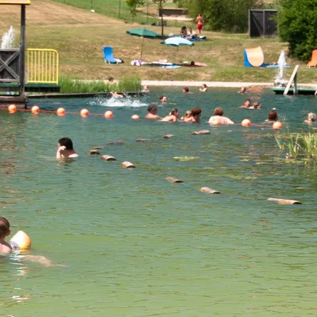 Person, Swimming, Water, Water Sports, Outdoors, Nature, Pool, Swimming Pool, Summer, Lake