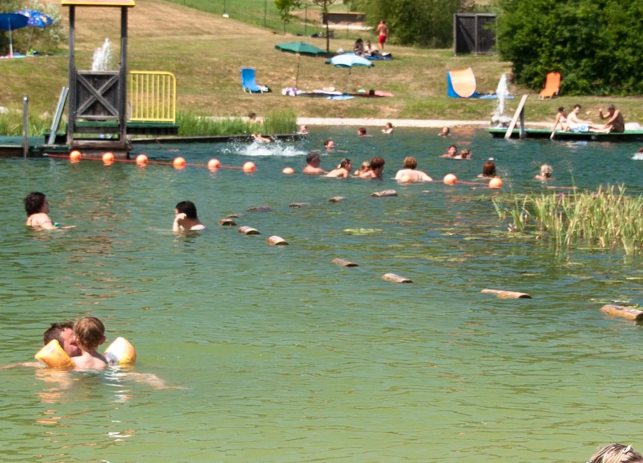 Person, Swimming, Water, Water Sports, Outdoors, Nature, Pool, Swimming Pool, Summer, Lake