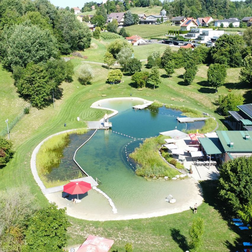 Ein Luftbild eines natürlichen Schwimmteiches mit einem roten Sonnenschirm am Sand, umgeben von üppigem Grün und Häusern im Hintergrund.