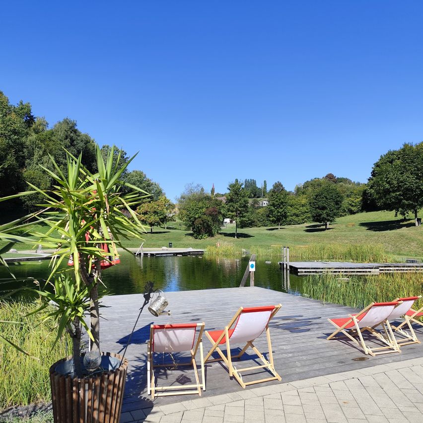 Eine Holzterrasse mit Liegestühlen und einem Topfplant über einem ruhigen See mit üppigem Grün und einem klaren blauen Himmel.