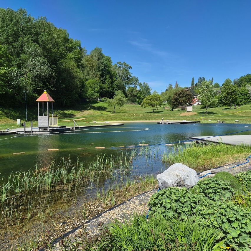 A lake with a small gazebo, surrounded by greenery and trees under a clear blue sky.