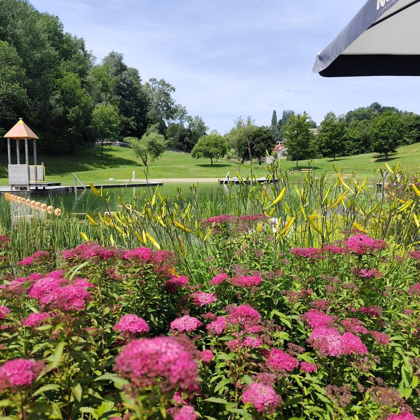 Ein See mit einem Pavillon, umgeben von einer Vielzahl von Blumen und Bäumen an einem sonnigen Tag.