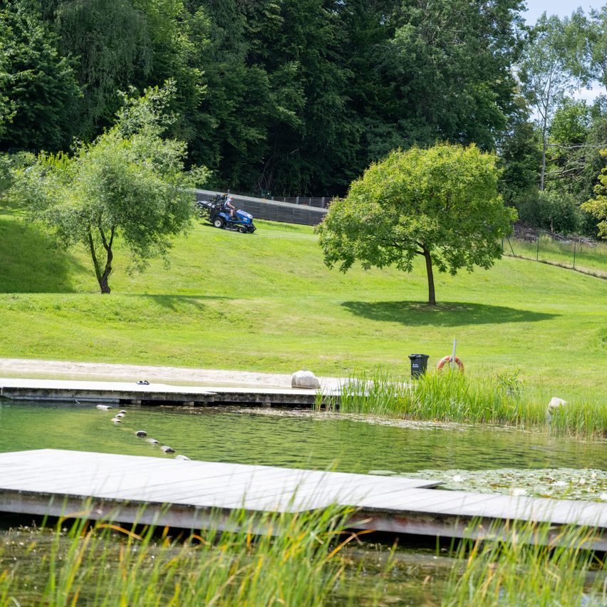 Eine Person fährt mit einem Traktor auf einer Wiese mit einem Teich. Bäume und ein Zaun sind im Hintergrund.