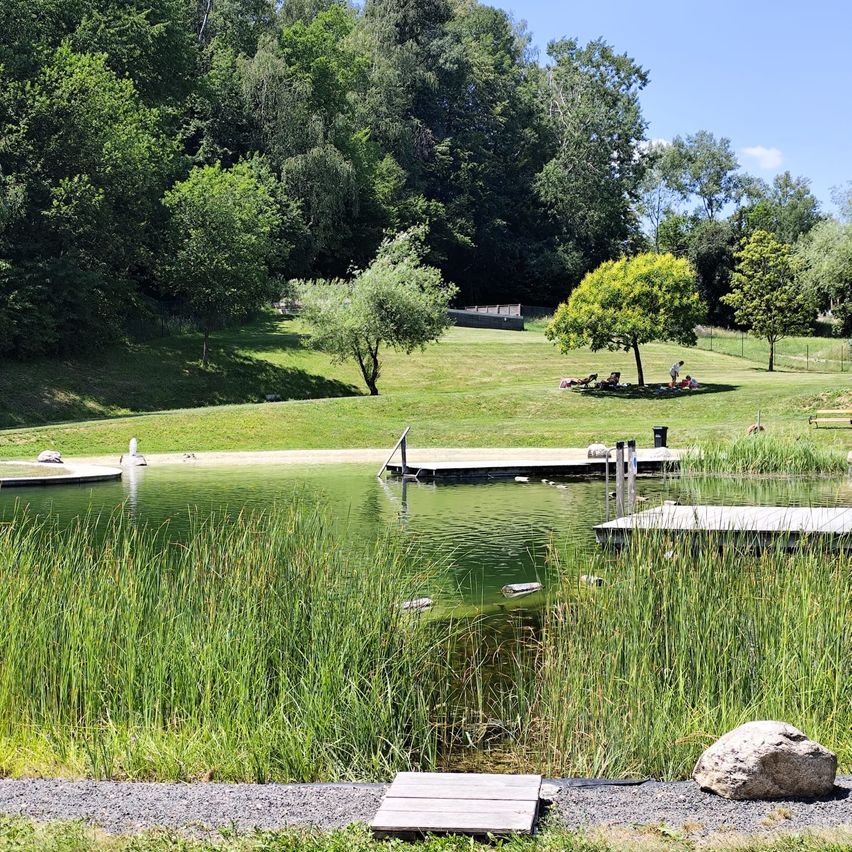 Ein ruhiger Park mit üppigem Grün, einem Teich und Menschen, die sich an einem sonnigen Tag unter Bäumen entspannen.