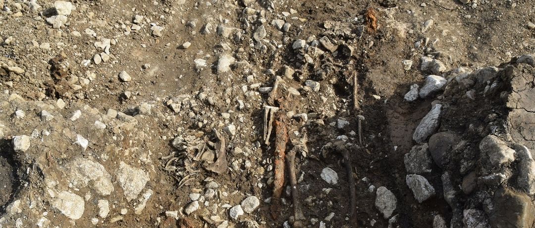 Ein archäologischer Fundplatz mit verstreuten Knochen, Metallgegenständen und Steinen. Der Boden ist gestört, was auf kürzliche Ausgrabungen hindeutet.