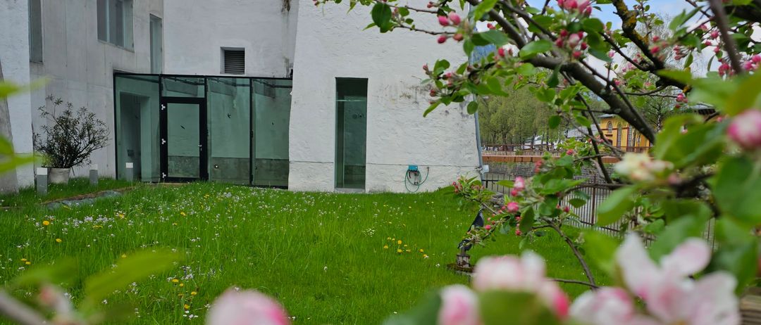 Ein weißes Gebäude mit Glastüren und Fenstern steht neben einem Grasbereich mit rosa Blüten. Im Hintergrund ist ein klarer blauer Himmel zu sehen.