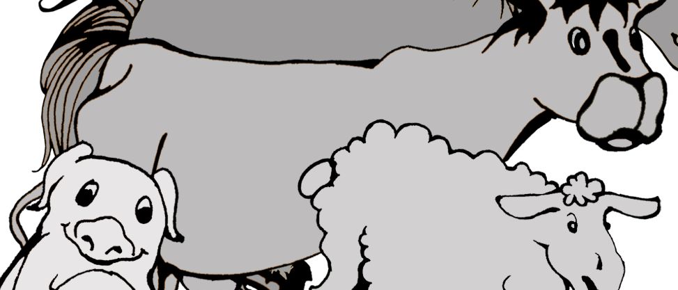 Eine Illustration zeigt einen Esel, ein Schaf und ein Schwein. Der Esel und das Schaf stehen, während das Schwein sitzt.