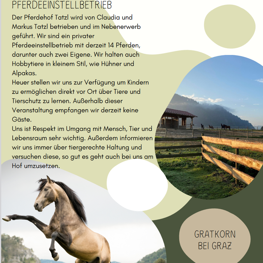 Bild enthält, Advertisement, Poster, Animal, Colt Horse, Horse, Mammal