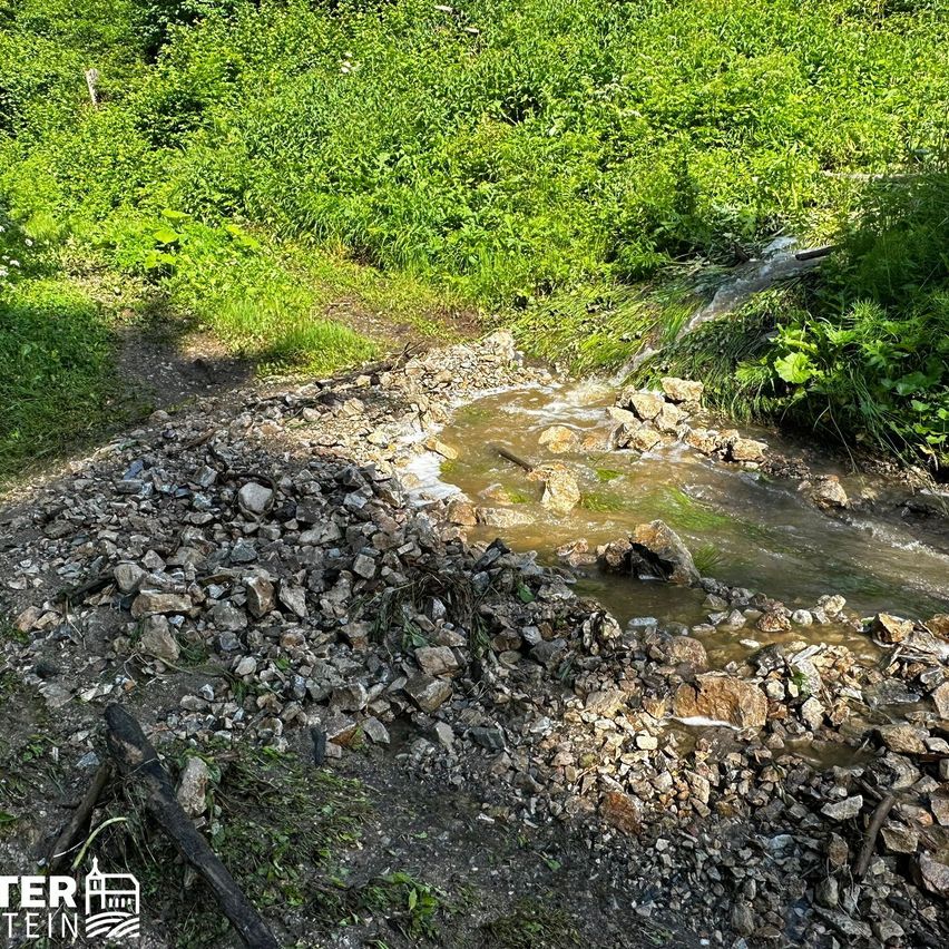 Bild enthält, Creek, Nature, Outdoors, Stream, Water, Wilderness, Vegetation, Rock, Gravel, Rubble