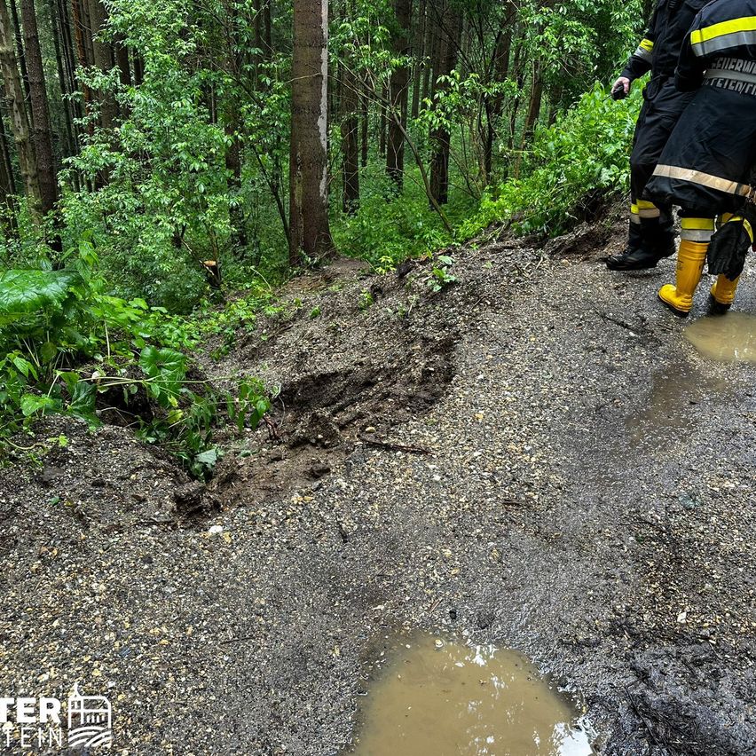 Bild enthält, Soil, Rainforest, Vegetation, Path, Water, Trail, Adult, Male, Man, Person