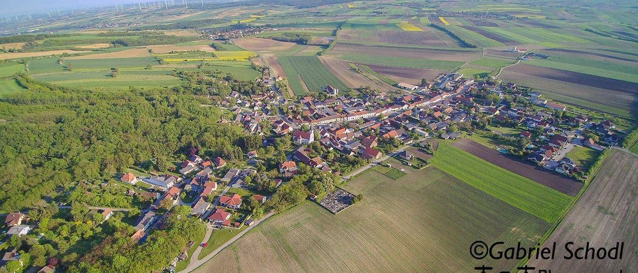 v1_migrated_image_40433269