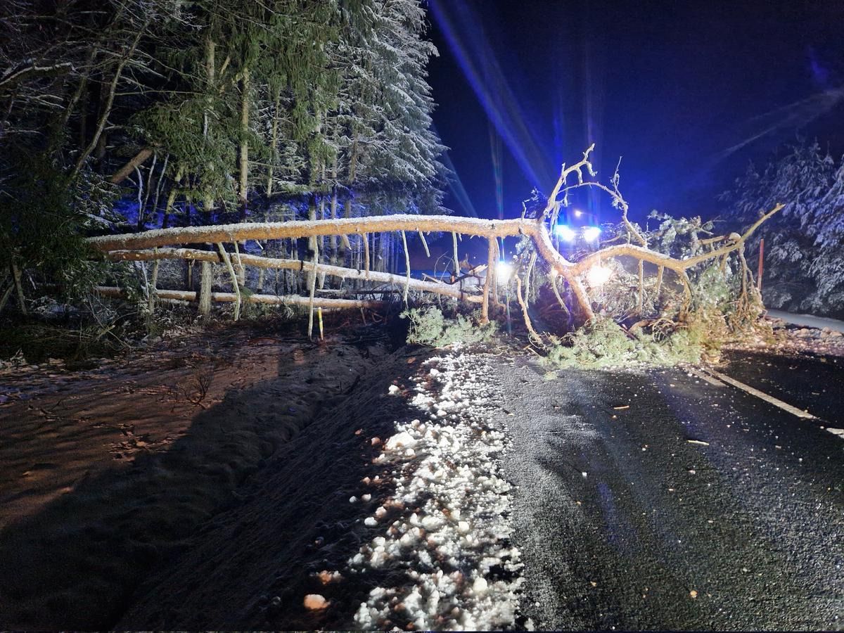 A fallen tree spans a road at night, illuminated by blue lights. Snow covers the ground and branches.