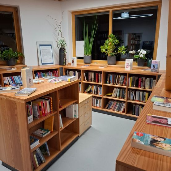 Bild enthält, Furniture, Wood, Bookcase, Indoors, Interior Design, Building, Hardwood, Plant, Library, Person
