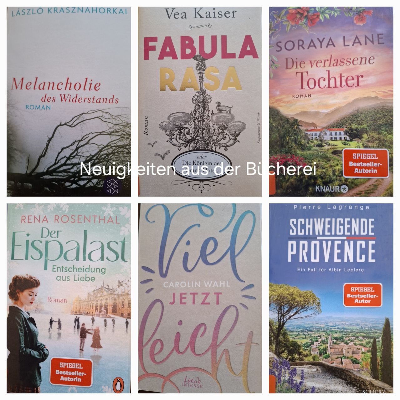 Eine Collage von Buchcovern in Deutsch und Englisch. Oben: 'Melancholie des Widerstands', 'FABULA RASA', 'Die verlassene Tochter'. Unten: 'Der Eispalast', 'Viel jetzt lief', 'Schweigende Provence'.