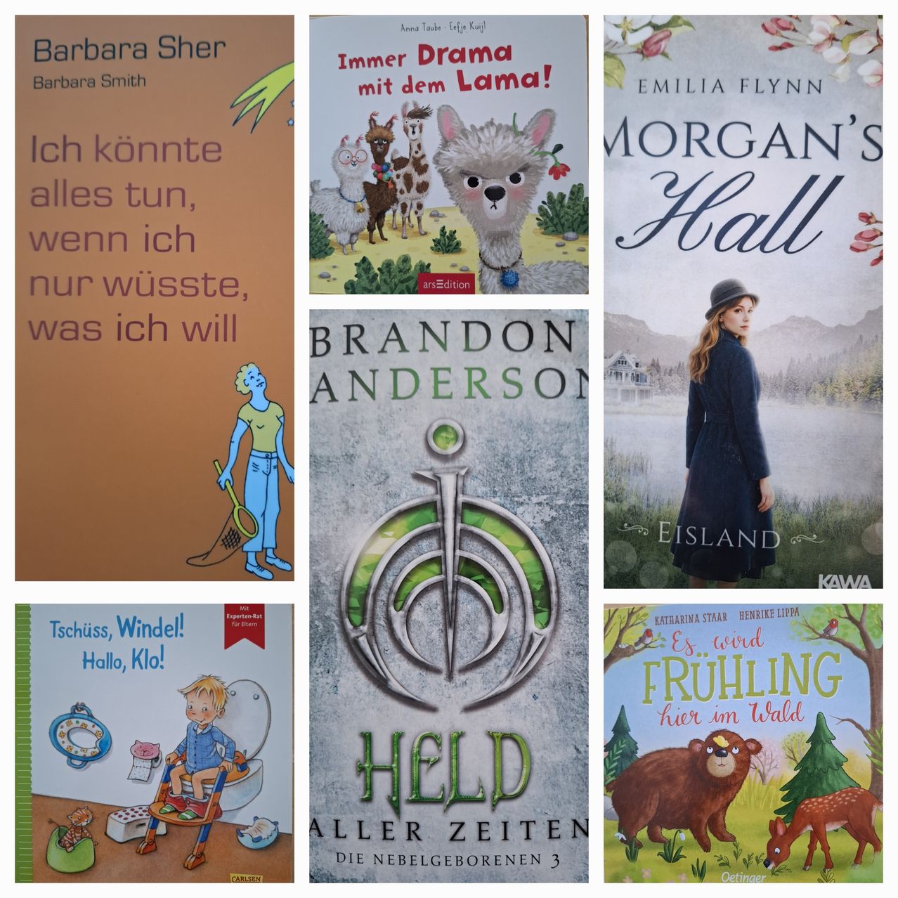 A collage of six book covers, each with unique titles and illustrations, showcasing various genres and themes. The first book is titled 'Barbara Sher' by Barbara Smith. The second book is 'Immer Drama mit dem Lama!' by Anna Taube. The third book is 'Morgan's Hall' by Emilia Flynn. The fourth book is 'Brandon Anderson' with a logo and text. The fifth book is titled 'Tschüss, Windel! Hallo, Klo!' by an unknown author. The sixth book is 'Held aller Zeiten' by an unknown author.