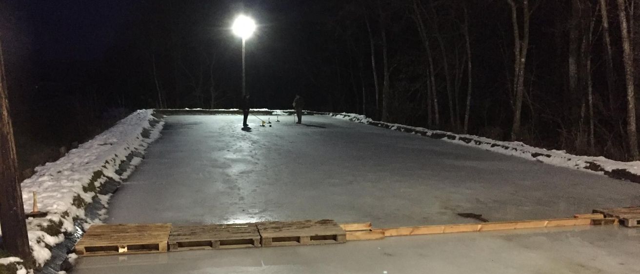 v1_migrated_image_46120663