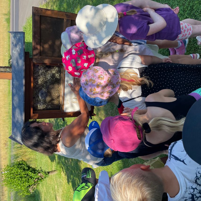Eine erwachsene Frau zeigt einer Gruppe von Kindern ein Insekt in einem Holzrahmen. Sie sind um sie herum versammelt und betrachten das Insekt.