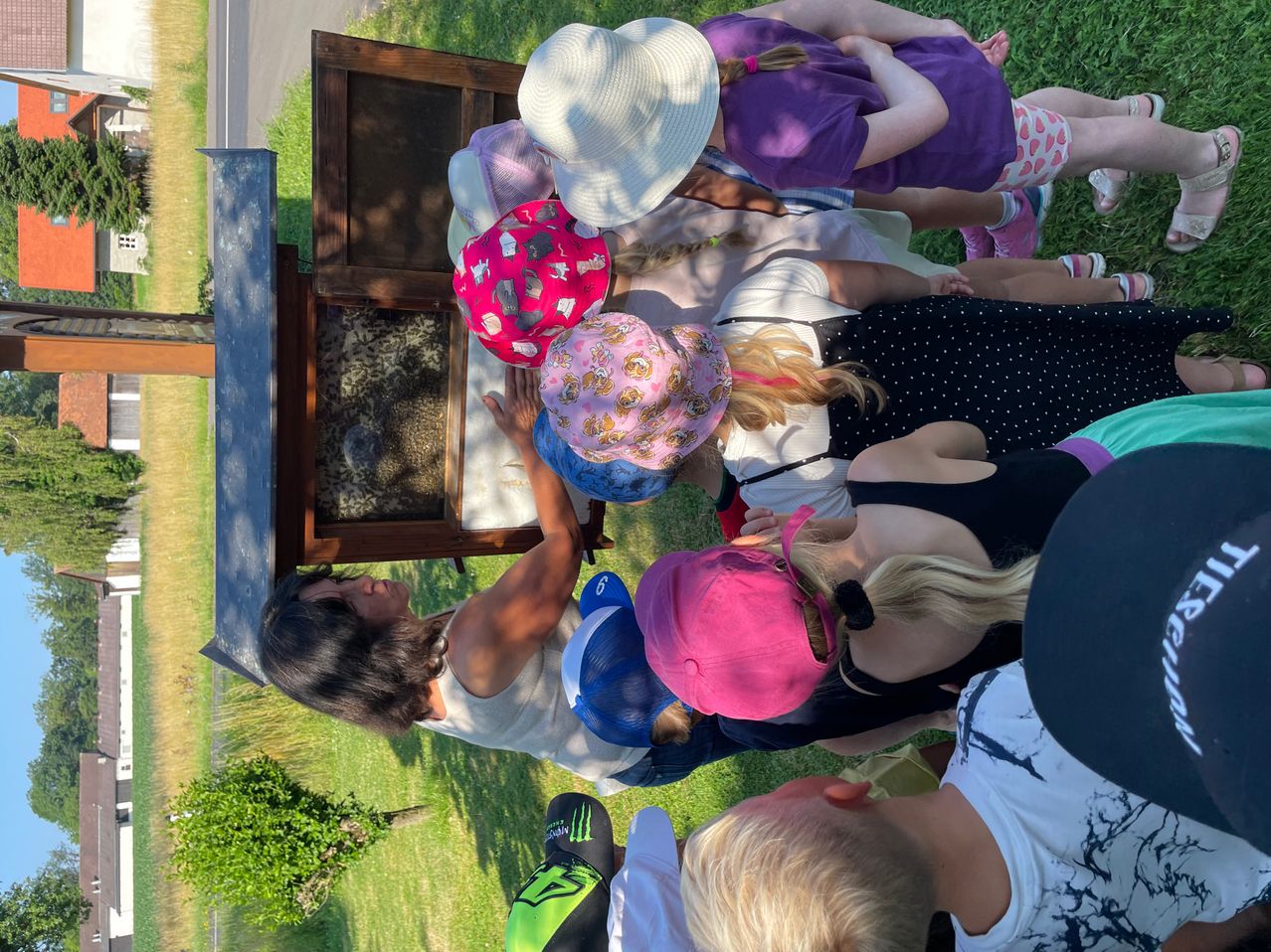 Eine erwachsene Frau zeigt einer Gruppe von Kindern ein Insekt in einem Holzrahmen. Sie sind um sie herum versammelt und betrachten das Insekt.