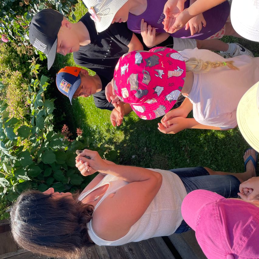 Eine Gruppe von Kindern und Erwachsenen untersucht etwas am Boden, möglicherweise ein Insekt oder ein kleines Tier, in einem Garten.
