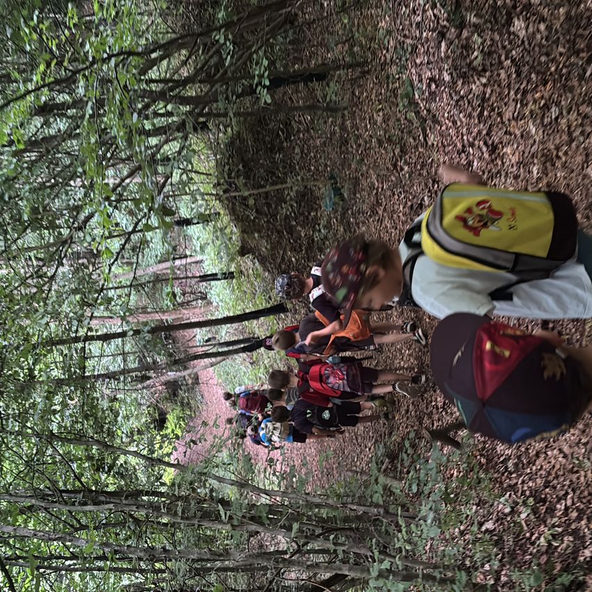 Eine Gruppe von Kindern wandert durch einen dichten Wald, mit Rucksäcken, einige tragen Hüte. Sie schauen nach vorne und scheinen das Freie zu genießen.