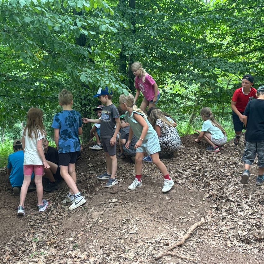 Eine Gruppe von Kindern, einige stehend und andere sitzend, erkunden ein bewaldetes Gebiet mit verstreuten Blättern und Sonnenlicht, das durch die Bäume fällt.