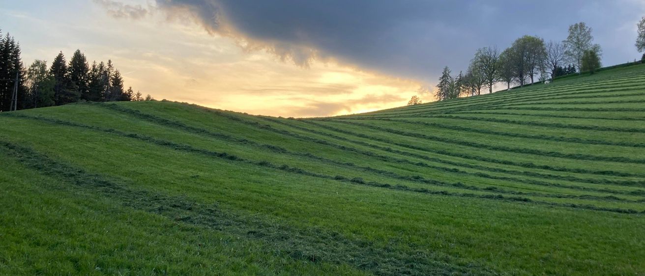 Bild enthält, Grass, Nature, Outdoors, Sky, Scenery, Horizon, Ground, Land, Field, Landscape