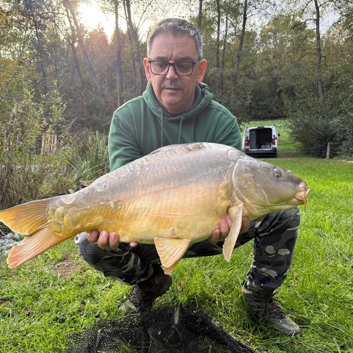 Spiegelkarpfen FFFL Teich