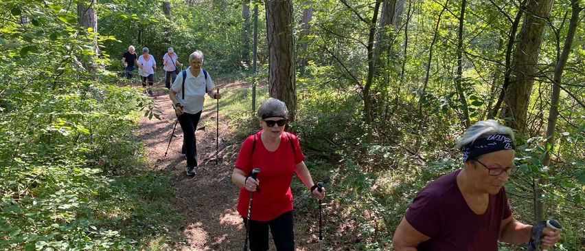 Eine Gruppe von Wanderern mit Brillen und Turnschuhen wandert durch einen Wald und hält Wanderstöcke in der Hand.