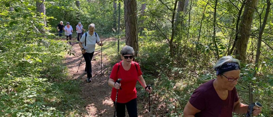 Eine Gruppe von Wanderern mit Brillen und Turnschuhen wandert durch einen Wald und hält Wanderstöcke in der Hand.