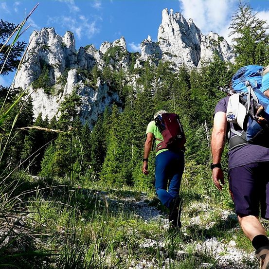 Zwei Wanderer mit Rucksäcken gehen in einem Wald und folgen einem Pfad in den Bergen. Hohe Bäume umgeben sie, und ein großer felsiger Berg ragt im Hintergrund auf.