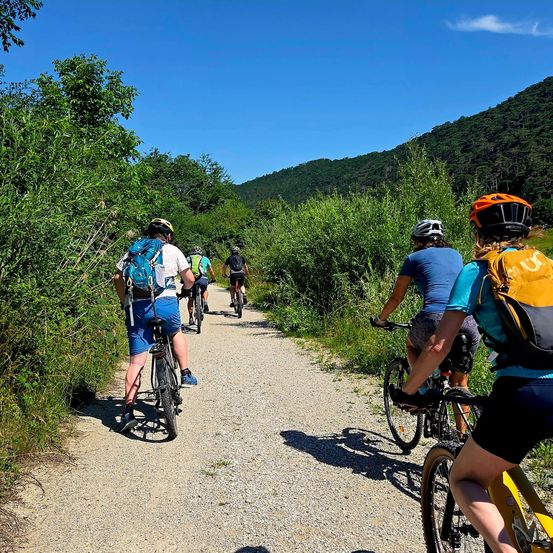 Eine Gruppe von Radfahrern mit Helmen fährt auf einem Schotterweg, umgeben von grüner Vegetation, unter einem blauen Himmel.