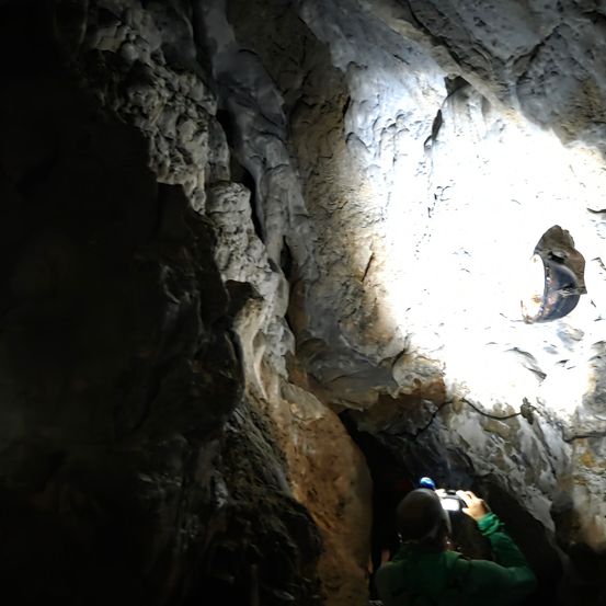 Eine Person in einem grünen Shirt erkundet eine dunkle Höhle, hält eine Kamera und eine Taschenlampe in der Hand. Die Höhlenwände sind rau, mit Mineralablagerungen, und eine Lichtquelle beleuchtet den Weg vor ihr.