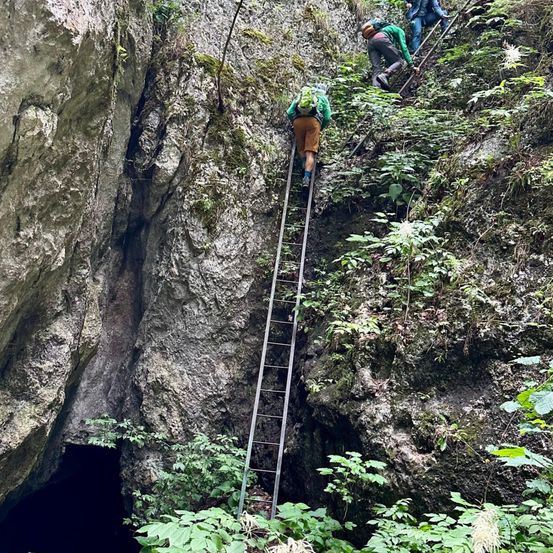 Eine Gruppe von Wanderern klettert einen felsigen Berghang hinauf. Einer ist auf einer Leiter, während andere auf dem felsigen Pfad sind. Das Gebiet ist von Pflanzen und Moos umgeben.