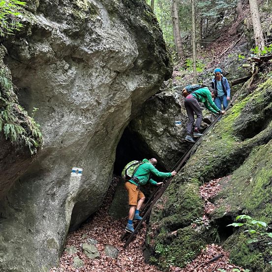 Drei Menschen klettern mit einer Leiter an einer moosbewachsenen Felswand hinauf. Sie befinden sich in einem Wald mit dichtem Baumbestand und Laub.