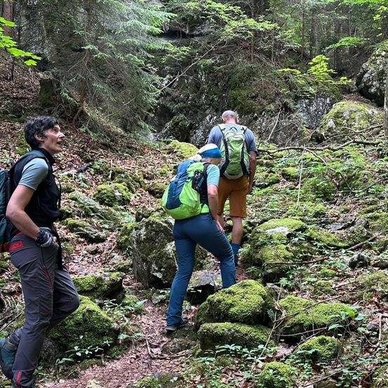Drei Wanderer erkunden einen moosigen Pfad im Wald, einer trägt einen grünen Rucksack.
