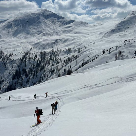 Eine Gruppe von Skifahrern erklimmt einen verschneiten Berg, mit Kiefern, die die Hänge säumen, und einem blauen Himmel darüber.