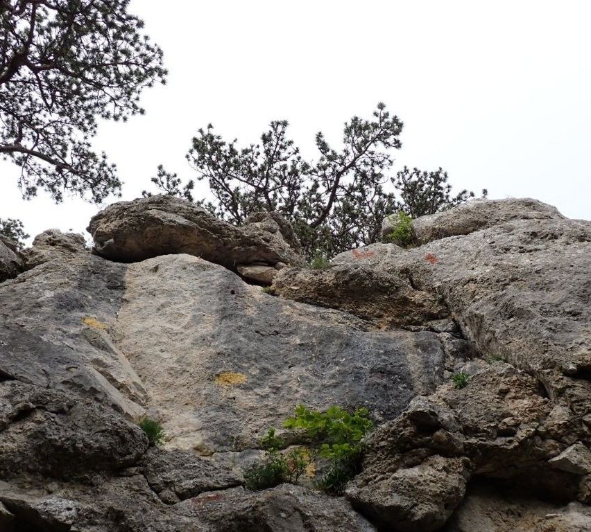 Eine felsige Landschaft mit spärlicher Vegetation. Die Felsen sind groß und unregelmäßig, einige mit Moos und kleinen Pflanzen darauf. Hinter den Felsen befinden sich mehrere kleine Bäume.