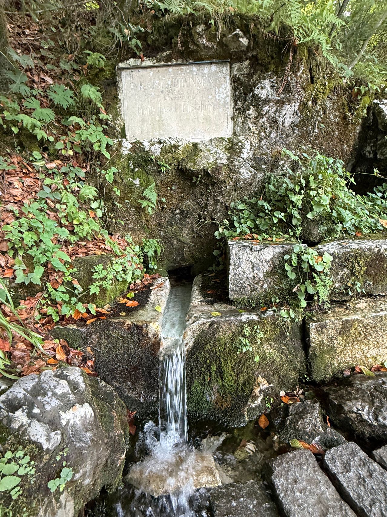 Ein steinerner Brunnen mit moosbewachsenen Felsen und einem kleinen Wasserfall, der in einen Pool fließt, umgeben von Grün.