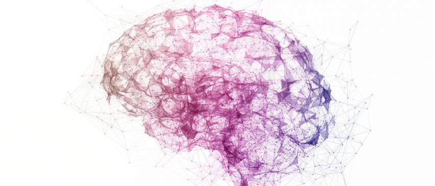 Eine abstrakte Darstellung eines Gehirns, dargestellt durch miteinander verbundene lila Linien auf weißem Hintergrund. Die Linien bilden ein komplexes Netzwerk, das neuronale Verbindungen nachahmt.