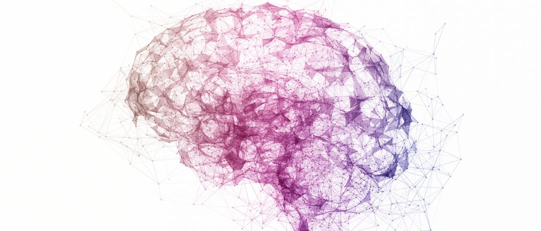 Eine abstrakte digitale Illustration eines menschlichen Gehirns mit komplexen, geometrischen Mustern in Lila und Weiß. Das Bild ähnelt neuronalen Netzwerken.
