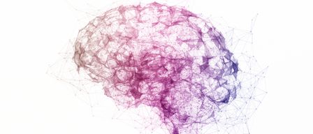 An abstract digital illustration of a human brain with intricate, geometric patterns in purple and white. The image resembles neural networks.