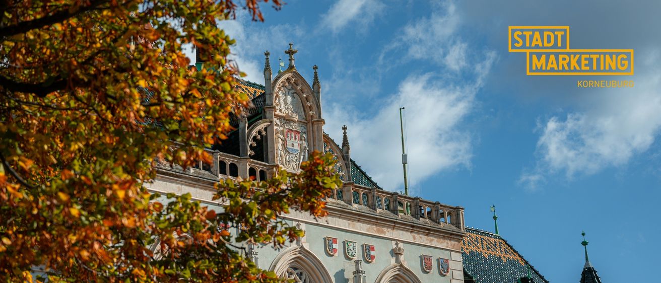 Bild enthält, Architecture, Building, Cathedral, Church, Clock Tower, Tower, Spire, Leaf, Plant, Tree