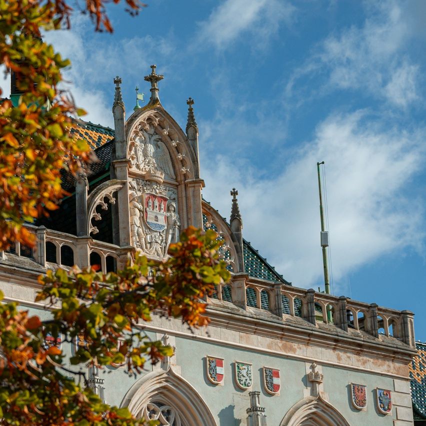 Bild enthält, Architecture, Building, Cathedral, Church, Clock Tower, Tower, Spire, Leaf, Plant, Tree