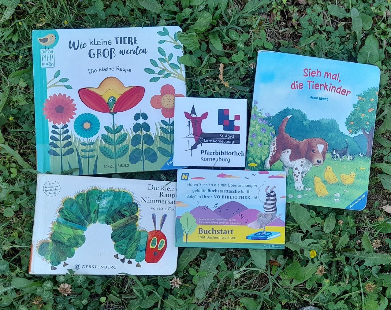 Fünf Kinderbücher sind auf Gras ausgelegt. Die Bücher umfassen 'Wie kleine Tiere groß werden', 'Die kleine Raupe', 'St. Aegyd Pfarrbibliothek', 'Die kleine Raupe Nimmersat' und 'Buchstart mit Büchern wachsen'. Die Bücher sind farbenfroh mit Illustrationen von Tieren und Pflanzen.